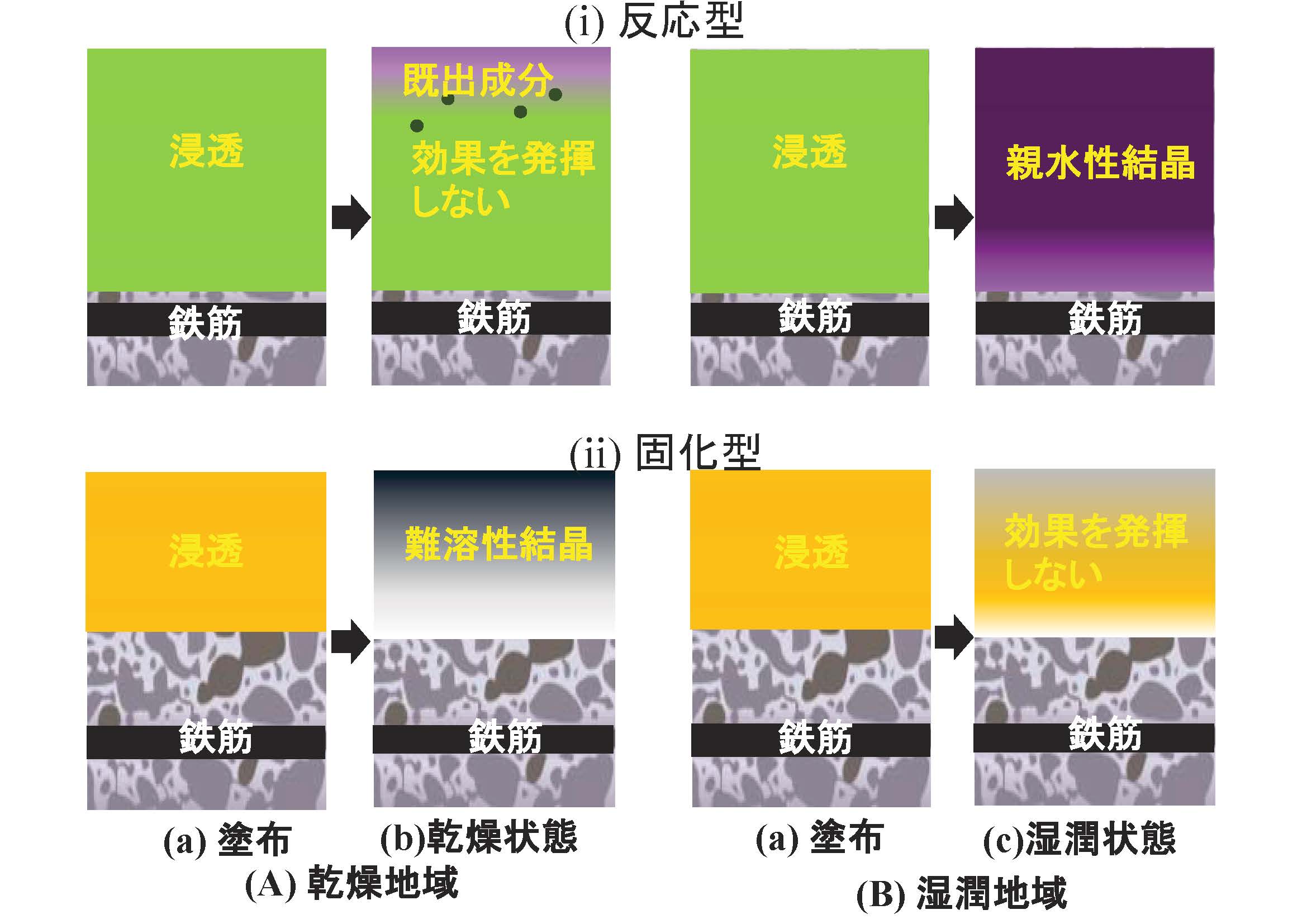 けい酸塩系表面含浸材の改質機構